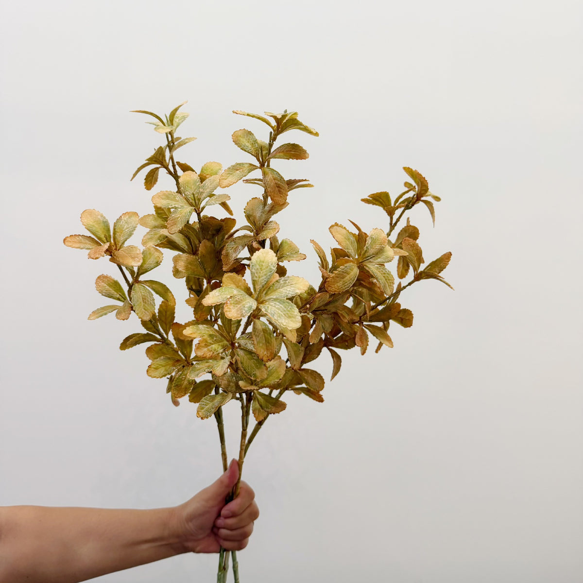 Rama Artificial de Hojas Eucalipto Otoño Tipo Arbusto, Plástico PE/PVC, Estilo Campestre, para Bodas y Decoración del Hogar