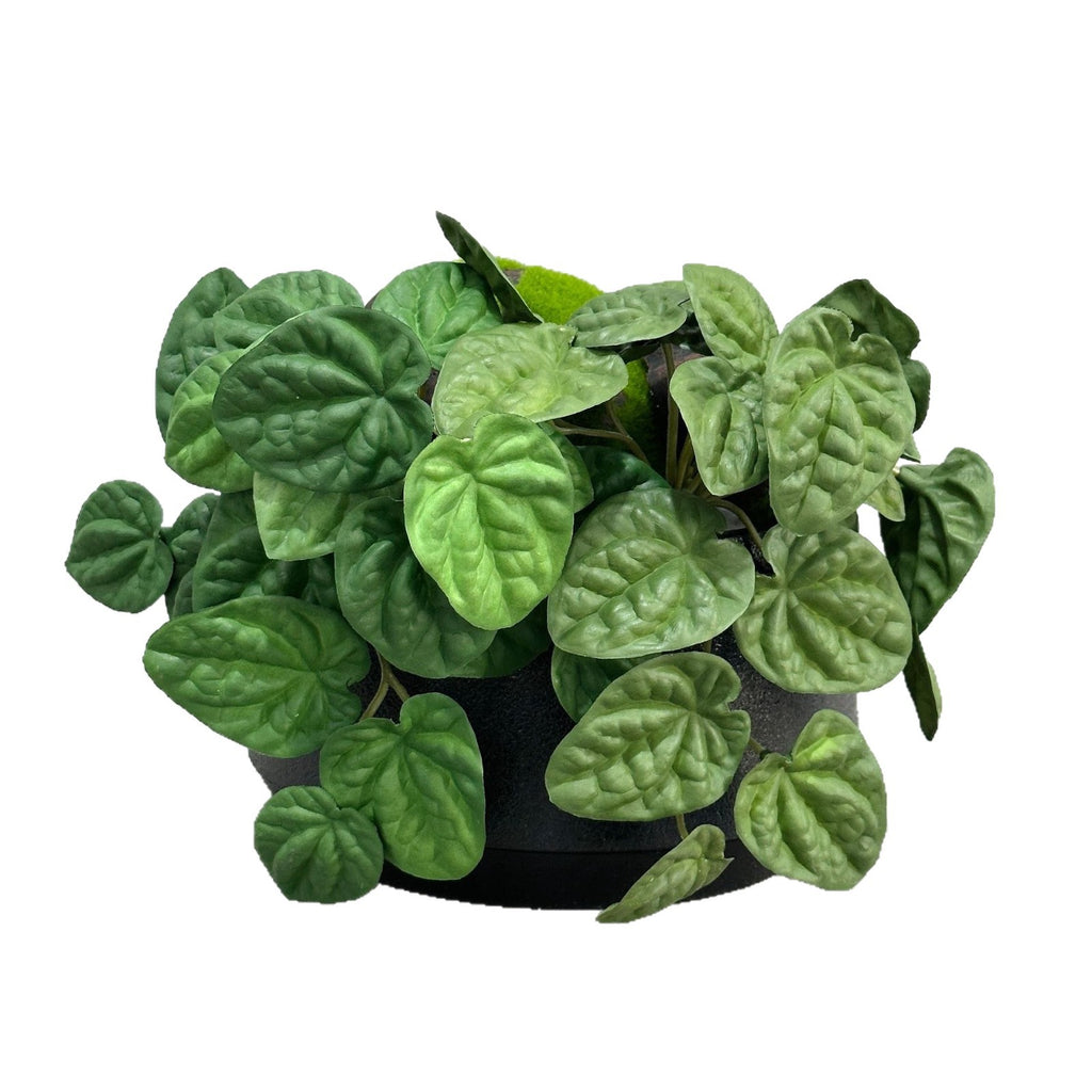 Planta Artificial Pimienta Arrugada en Mata, Plástico PE/PVC, Ramas Moldeables, Decoración Interior y Exterior