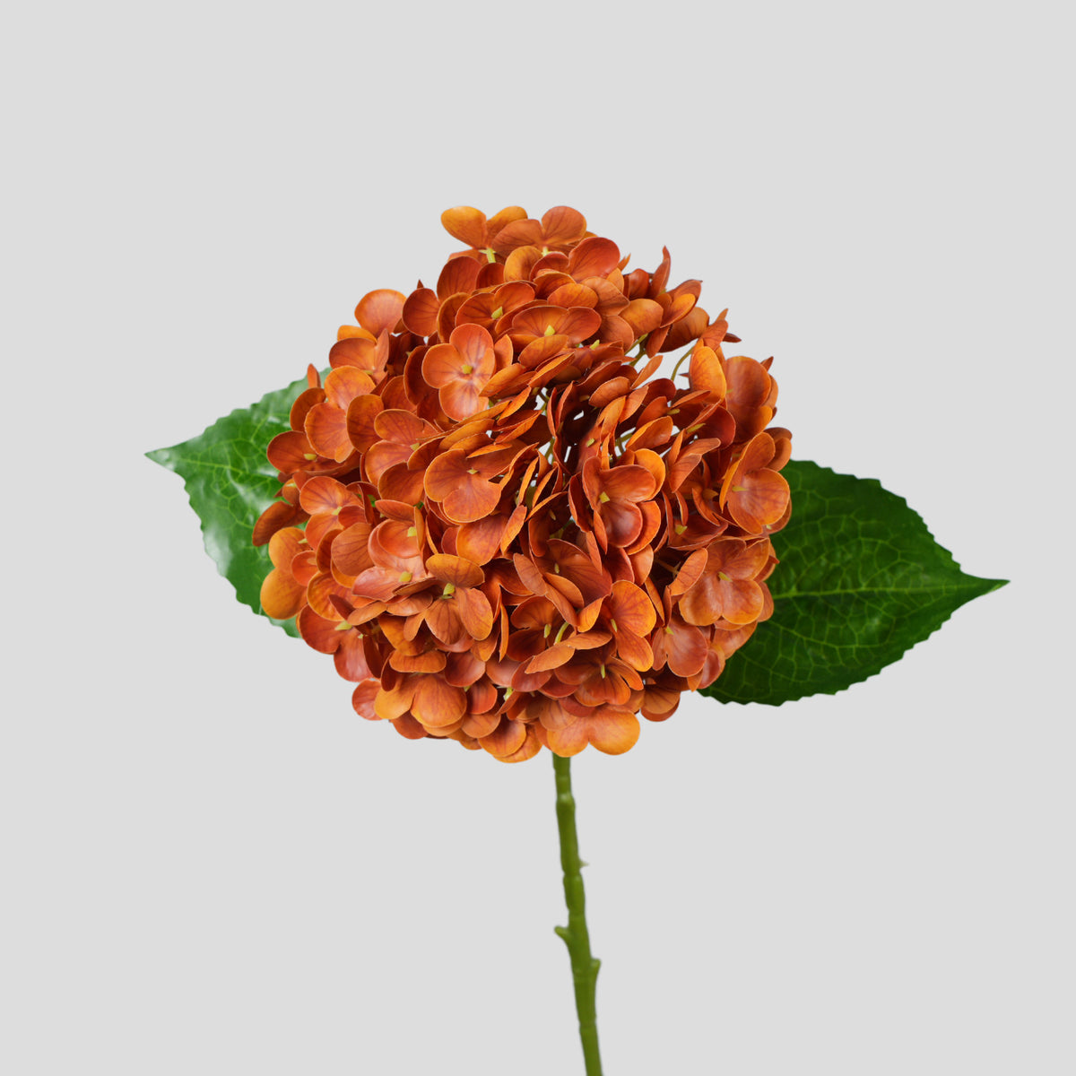Hortensia Artificial de Plástico, Rama Única con 1 Flor, Estilo Campestre y Vintage, para Hogar, Bodas y Hoteles