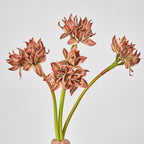 Flor Artificial Clivia, Decoración Elegante para Hogar y Eventos, Altura 56 cm