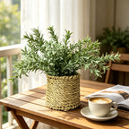 Planta Artificial Carrizo de la Pampa en Maceta Incluida, Plástico, Estilo Natural, Decoración para Interior y Exterior