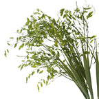 Rama de Hierba Artificial, 2 Ramitas de Hierba de la Esperanza, 80 cm, Decoración Hogar u Oficina