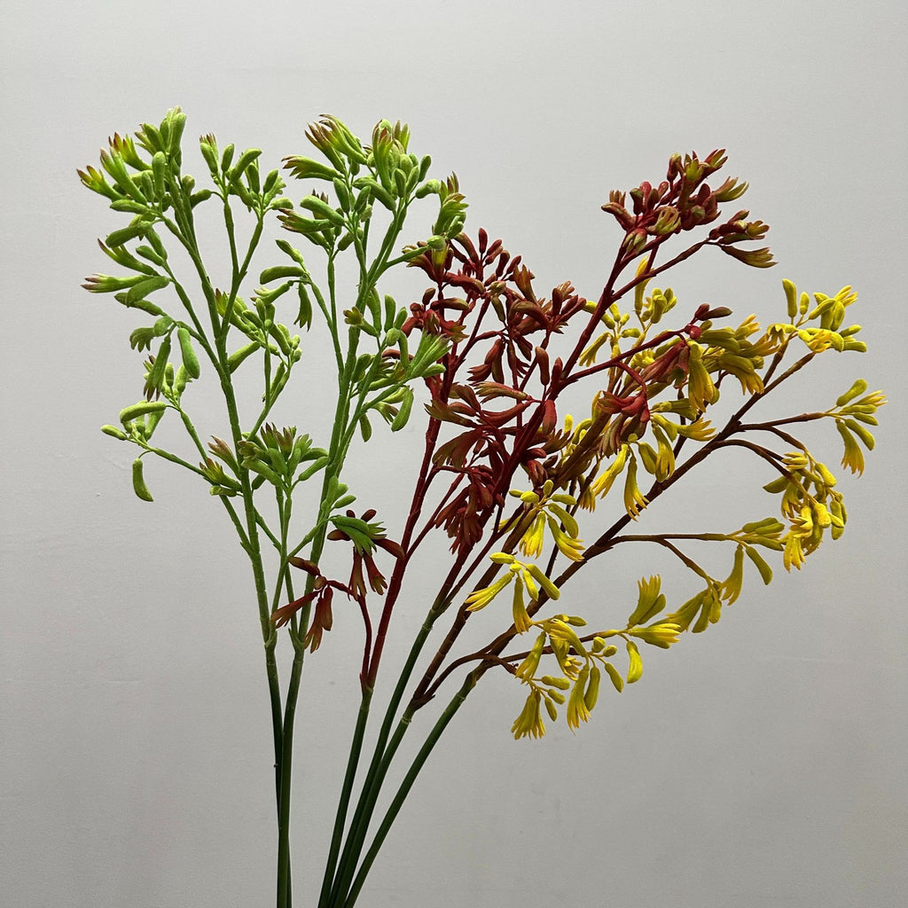 Planta Artificial Pata de Canguro, Arbusto Decorativo de Plástico PE/PVC, Estilo Nórdico para Hogar, Bodas y Escaparates
