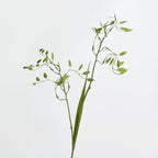Rama de Hierba Artificial, 2 Ramitas de Hierba de la Esperanza, 80 cm, Decoración Hogar u Oficina