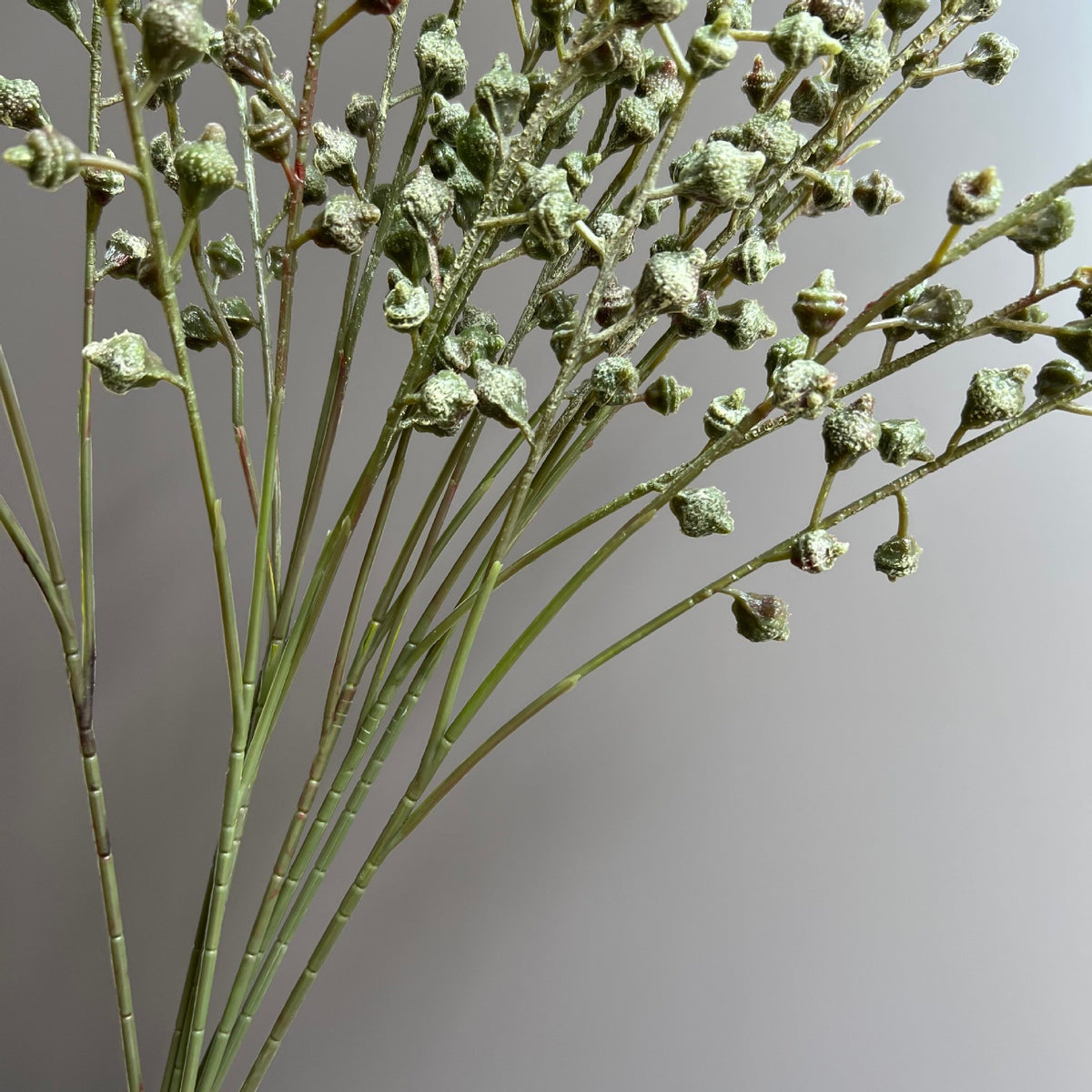 Rama de Eucalipto Artificial con Frutos, Pack de 5 Ramas, Blanco y Verde, Decoración de Bodas y Hogar