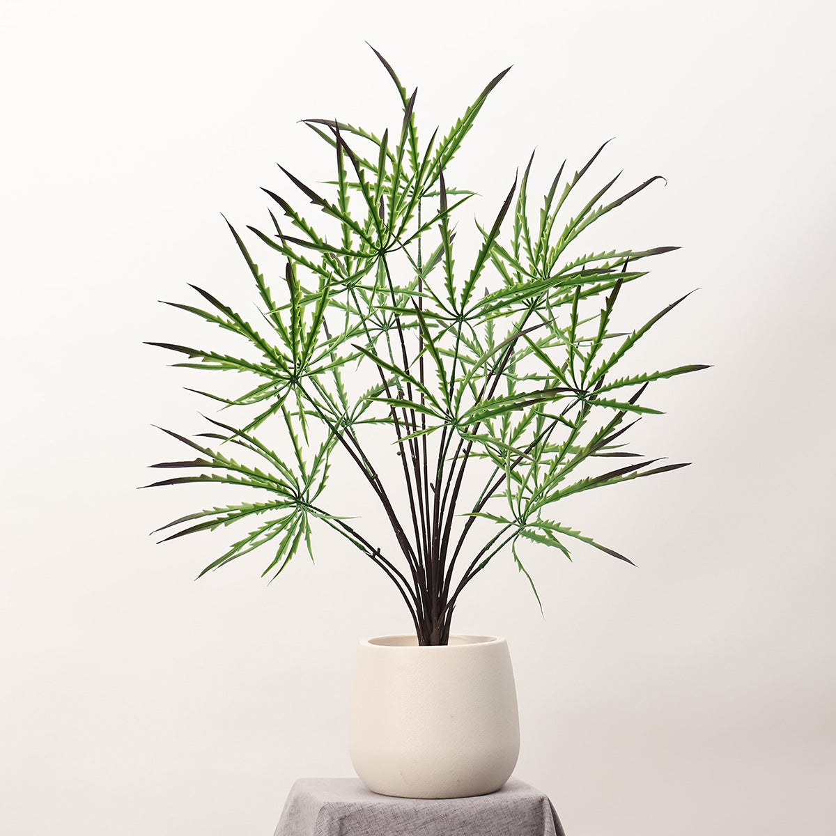 Planta Artificial Aralia Elegantissima (Falsa Aralia) Verde, Arbusto 1 Pieza de Plástico, Decoración Nórdica para Casa, Oficina y Escaparate