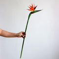 Tallos artificiales con tacto real de 32" x 9" para bodas y eventos