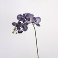 Orquídeas phalaenopsis artificiales con tacto real de 27" para decoración del hogar, eventos y escaparates