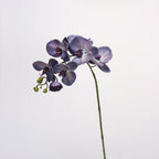 Orquídeas phalaenopsis artificiales con tacto real de 27" para decoración del hogar, eventos y escaparates