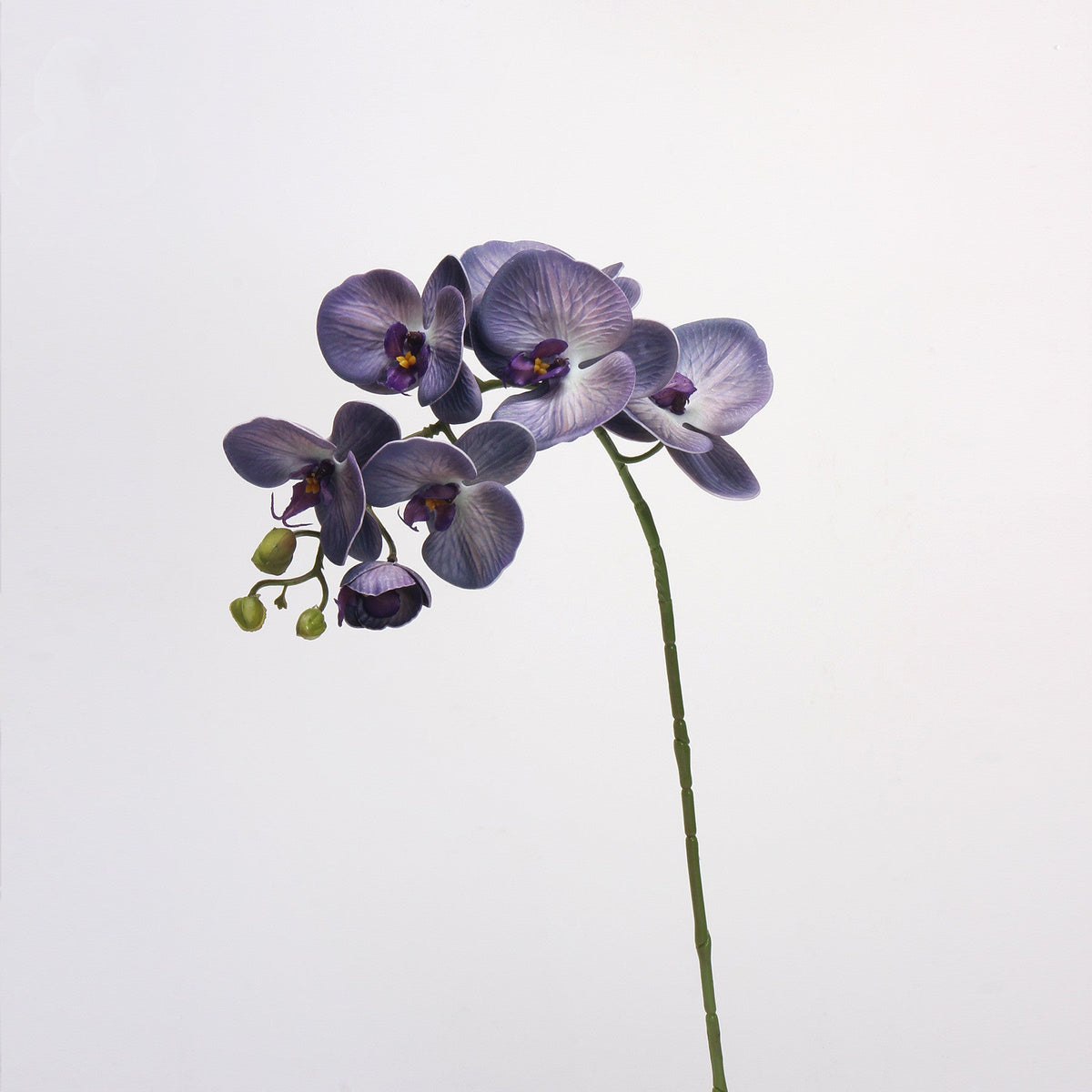 Orquídeas phalaenopsis artificiales con tacto real de 27" para decoración del hogar, eventos y escaparates