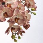 Orquídeas phalaenopsis artificiales con tacto real de 27" para decoración del hogar, eventos y escaparates