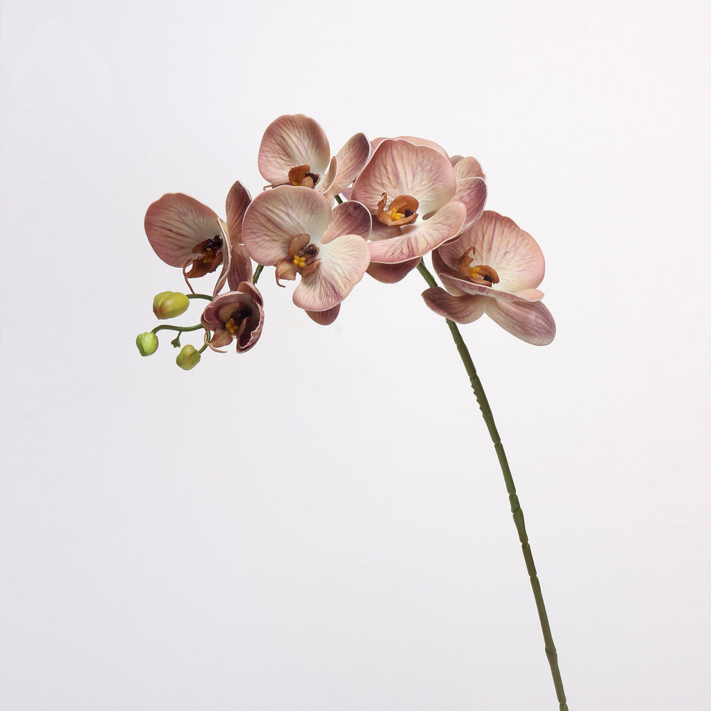 Orquídeas phalaenopsis artificiales con tacto real de 27" para decoración del hogar, eventos y escaparates