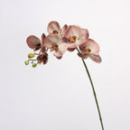 Orquídeas phalaenopsis artificiales con tacto real de 27" para decoración del hogar, eventos y escaparates