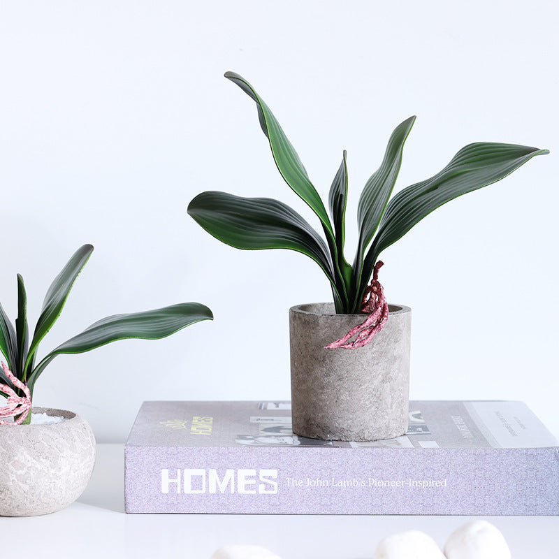 Orquídeas phalaenopsis artificiales con tacto real para decoración del hogar