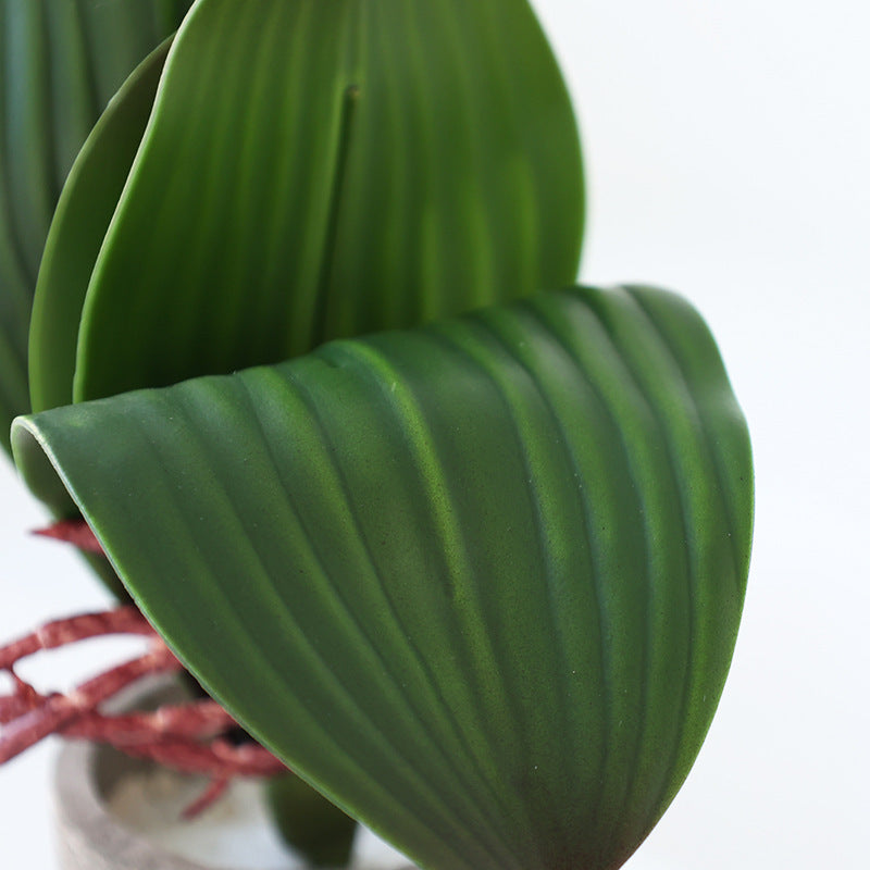 Orquídeas phalaenopsis artificiales con tacto real para decoración del hogar