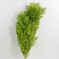 Follaje de espárrago ornamental artificial de 15" x 9" para arreglos florales y proyectos DIY - Sky azul