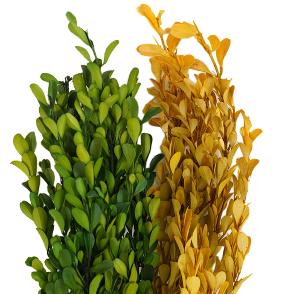 Boj artificial de 15" x 8" para arreglos florales y proyectos DIY - Verde
