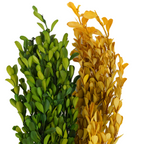Boj artificial de 15" x 8" para arreglos florales y proyectos DIY - Verde