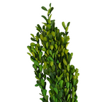 Boj artificial de 15" x 8" para arreglos florales y proyectos DIY