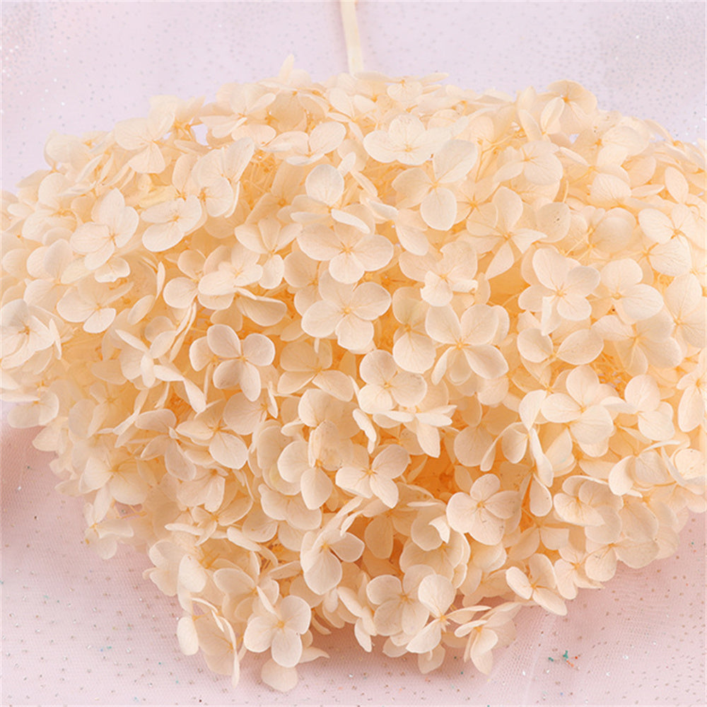 Hortensias artificiales de 15" x 9" para arreglos florales y proyectos DIY - Coral