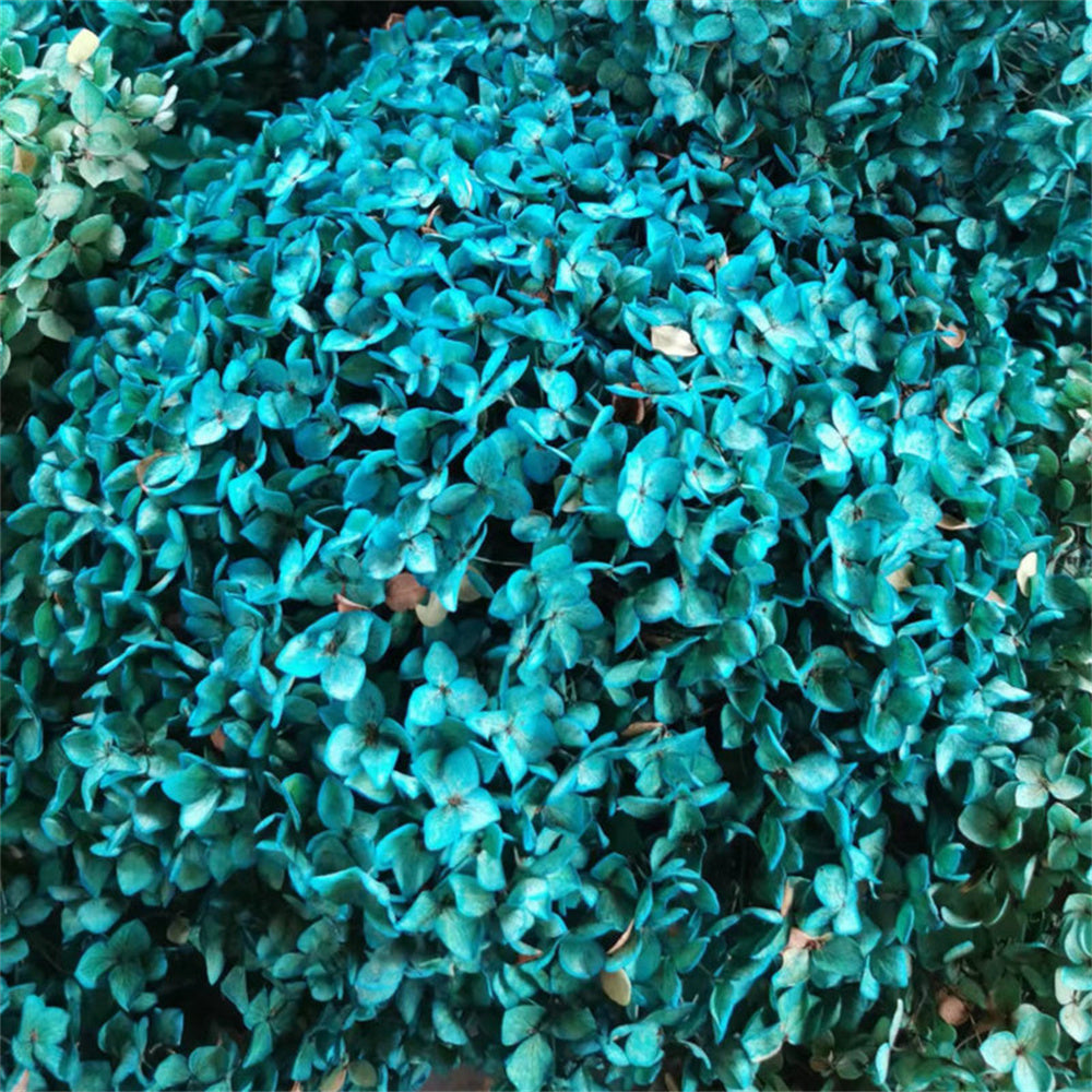 Hortensias artificiales de 15" x 9" para arreglos florales y proyectos DIY - Blush