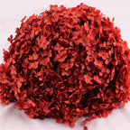 Hortensias artificiales de 15" x 9" para arreglos florales y proyectos DIY - Crema
