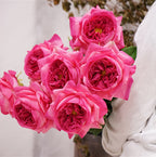 Rosas Real Touch de Látex 60cm