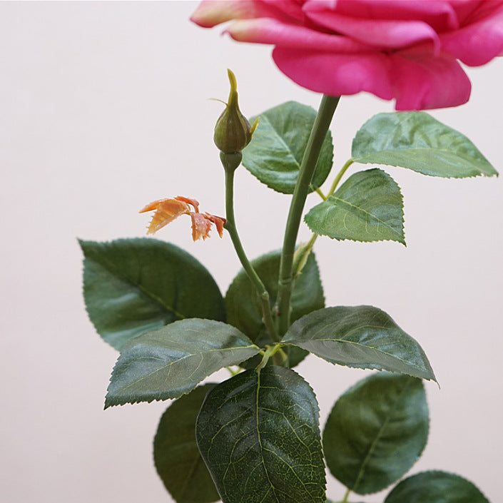 Rosas Real Touch de Látex 60cm