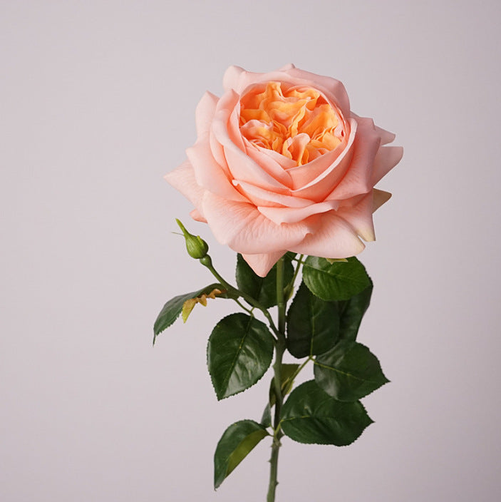 Rosas Real Touch de Látex 60cm