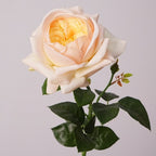 Rosas Real Touch de Látex 60cm
