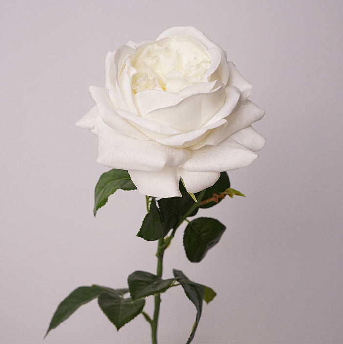 Rosas Real Touch de Látex 60cm