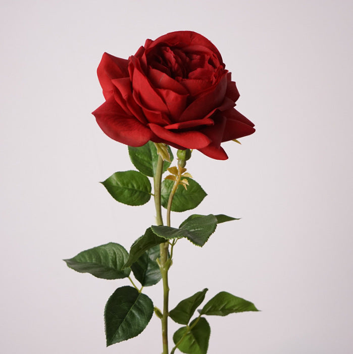 Rosas Real Touch de Látex 60cm