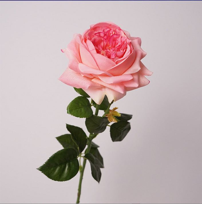 Rosas Real Touch de Látex 60cm