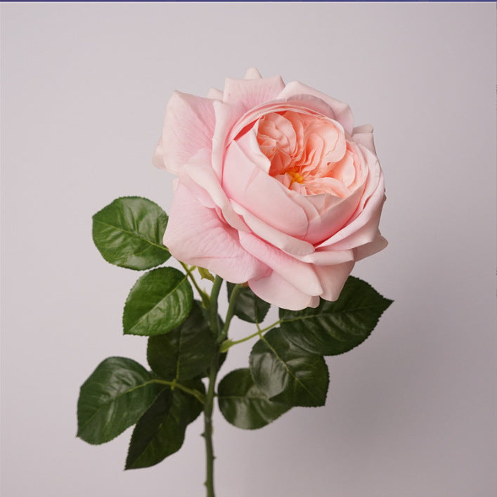 Rosas Real Touch de Látex 60cm