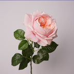 Rosas Real Touch de Látex 60cm
