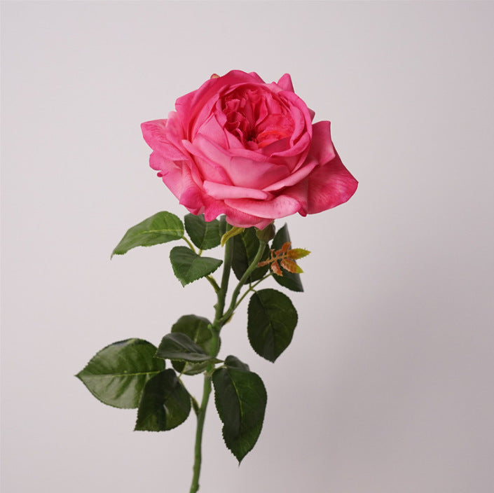 Rosas Real Touch de Látex 60cm