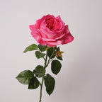 Rosas Real Touch de Látex 60cm