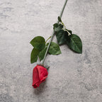 Rosas artificiales con tacto real de 22" para bodas y eventos - Champán