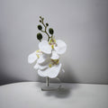 Orquídeas phalaenopsis artificiales con resistencia a los rayos UV con tacto real de 10" x 3" para jardín, balcón y terraza - Blanco