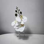 Orquídeas phalaenopsis artificiales con resistencia a los rayos UV con tacto real de 10" x 3" para jardín, balcón y terraza - Blanco