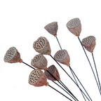 Lotos artificiales con resistencia a los rayos UV de 23" para jardín, balcón y terraza - Marrón 6-9cm (flower head)