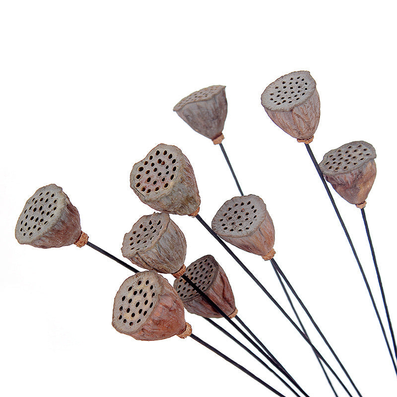Lotos artificiales con resistencia a los rayos UV de 23" para jardín, balcón y terraza - Marrón 6-9cm (flower head)