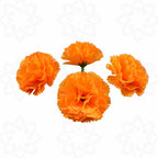Claveles artificiales de 2" x 2" para bodas y eventos - Rosa 9+3 piezas