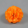 Claveles artificiales de 2" x 2" para bodas y eventos - Negro 1 pieza