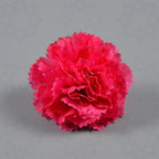 Claveles artificiales de 2" x 2" para bodas y eventos - Amarillo 9+3 piezas