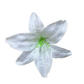 Rosas artificiales de 5.5" 50 piezas para bodas y eventos - Rosa/blanco