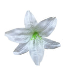 Rosas artificiales de 5.5" 50 piezas para bodas y eventos - Rosa/blanco