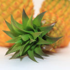 Ramas de pino artificiales para decoración de interiores - M