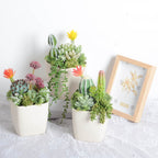 Planta artificial en maceta para decoración de interiores - 2