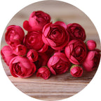 Ranúnculos artificiales de 12" x 5" para bodas y eventos - Autumn crema